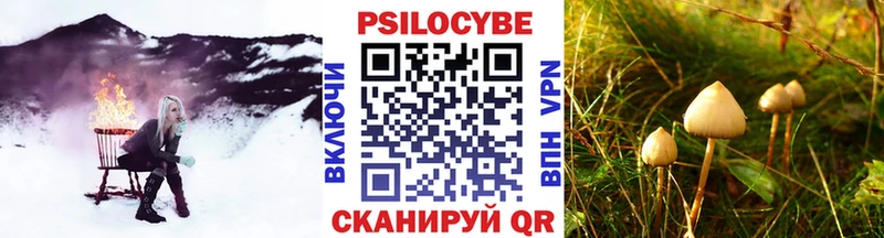 Псилоцибиновые грибы Psilocybe Белово